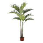 PALMA ARTIFICIAL