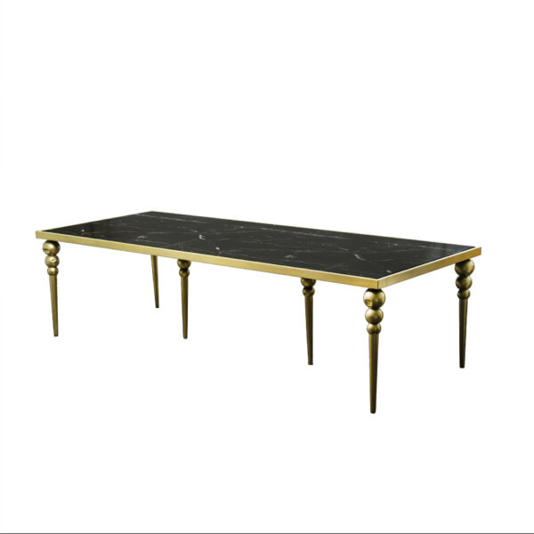 MESA RECTANGULAR GOLD MATE DICAPRIO BLACK