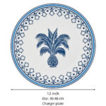 PLATO BASE AZURE