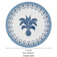 PLATO BASE AZURE